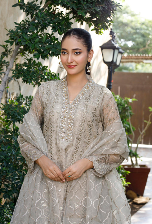 HP002 - Brownish grey shirt with attached shameez & malai trousers with chiffon dupatta. With Inner.